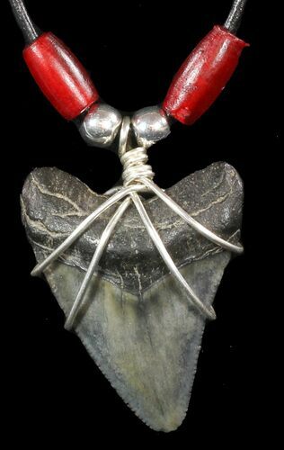 Fossil Megalodon Tooth Necklace #47535